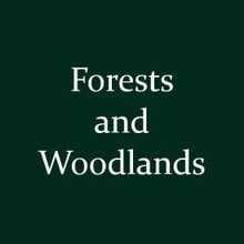 Forests and Woodlands 